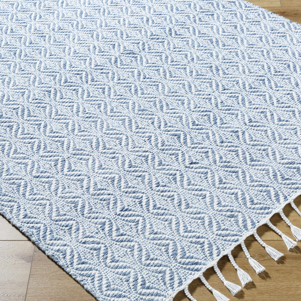 Anelia Sky Blue Area Rug - Clearance