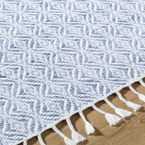 Anelia Sky Blue Area Rug - Clearance