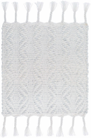 Anelia Powder Blue Area Rug - Clearance
