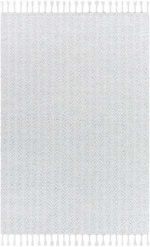 Anelia Powder Blue Area Rug - Clearance