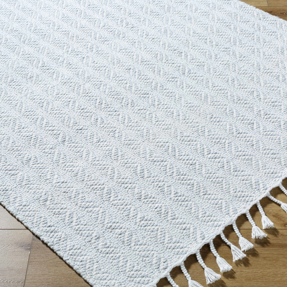 Anelia Powder Blue Area Rug - Clearance
