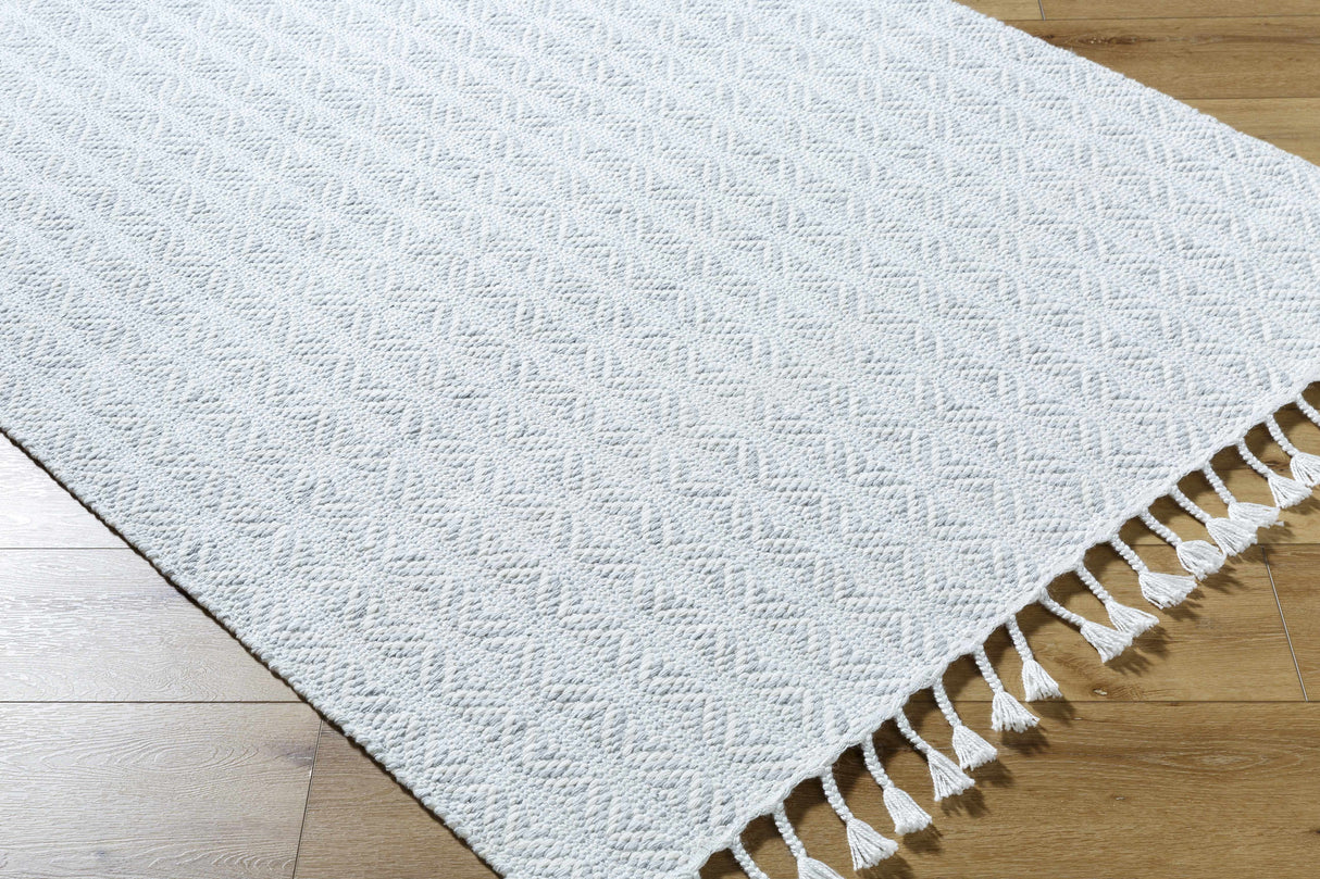 Anelia Powder Blue Area Rug - Clearance