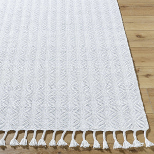 Anelia Powder Blue Area Rug - Clearance