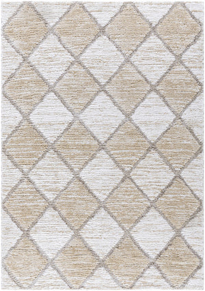 Aideen Cream Shag Area Rug - Clearance