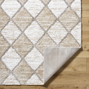Aideen Cream Shag Area Rug - Clearance