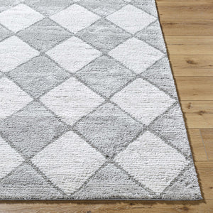 Aideen Gray Shag Area Rug - Clearance