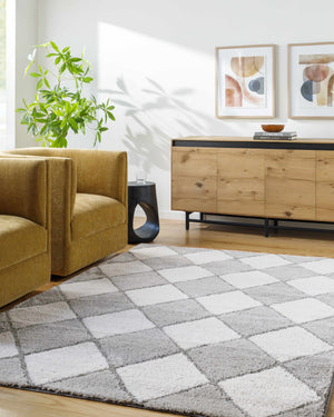 Aideen Gray Shag Area Rug - Clearance