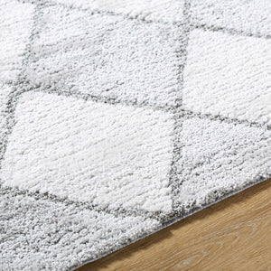 Aideen Gray Shag Area Rug - Clearance