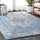 Kesan-Vintage-Medallion-Area-Rug-Area-Rugs