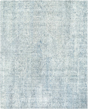Rhory Light Blue Area Rug - Clearance