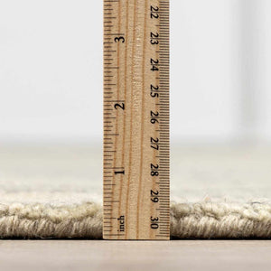 Adelio Area Rug - Clearance