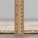 Rangeville Statement Rug