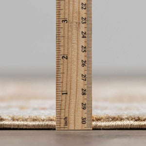 Rangeville Statement Rug