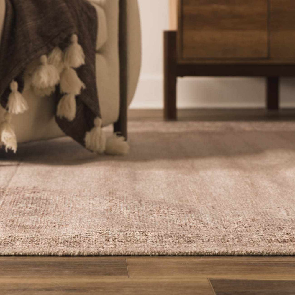 Luciana III Traditional Medallion Area Rug