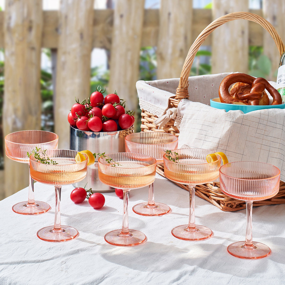 Madrid Acrylic Champagne Coupe Cocktail Glassware, Set of 6