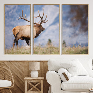 Rustic Elk Wall Art Canvas Print – Framed Majestic Wildlife