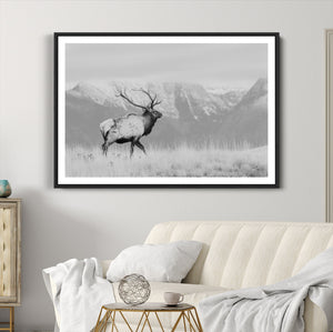 Rustic Elk Wall Art Canvas Print – Framed Majestic Wildlife