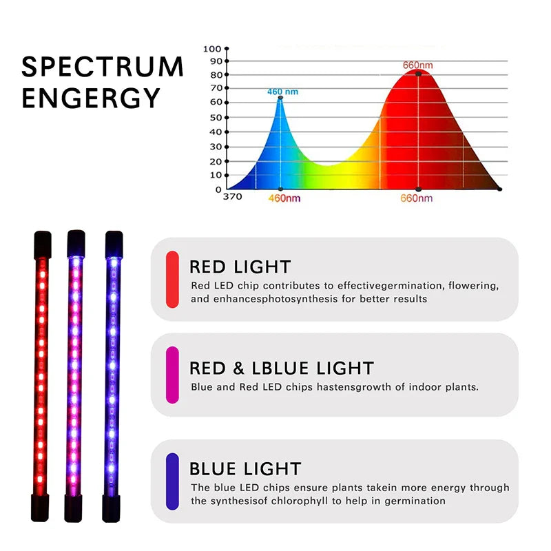 Clip On LED Grow Light Full Spectrum USB Timer Dimmable 1–4 Head Plant Lamp
