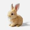 Interactive Moving Bunny Toy