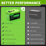 12V 200Ah LiFePO4 Lithium Battery Deep Cycle Rechargeable with BMS