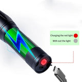 2 in 1 UV Flashlight 395nm Type C Rechargeable Blacklight Pet Stain Detection