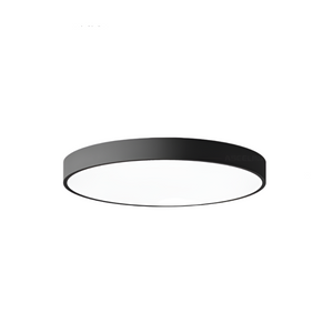 Modern Minimalist Round LED Ceiling Light 1-Light Indoor Hardwired