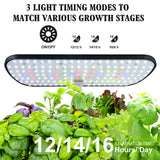 12 Pod Hydroponic Growing System Indoor Herb Garden LED Grow Light Timer