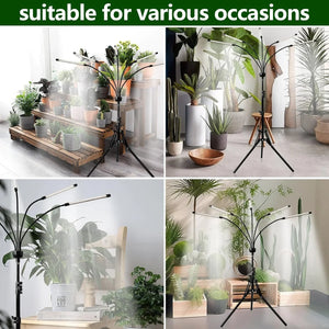 Tripod LED Grow Light Full Spectrum 6000K USB Adjustable for Indoor Plants