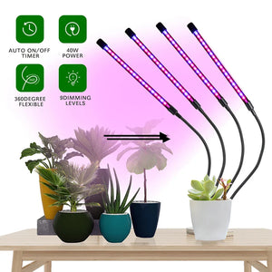 Clip On LED Grow Light Full Spectrum USB Timer Dimmable 1–4 Head Plant Lamp