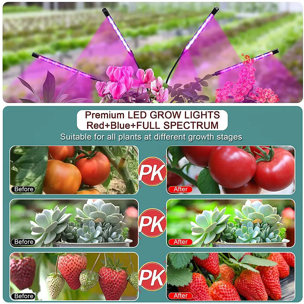 USB LED Grow Light Full Spectrum Clip Plant Lamp with Timer Control