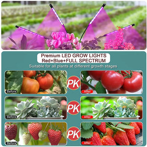 USB LED Grow Light Full Spectrum Clip Plant Lamp with Timer Control