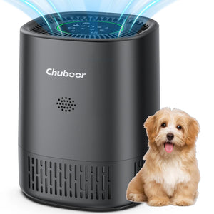 Air Purifier for Bedroom Home with HEPA Filter Smoke Allergies Pet Odor Dust