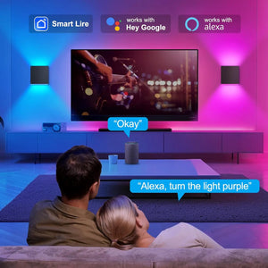 2 Pack Smart Outdoor Wall Lights RGBCW 10W LED Patio Lights App Voice Control