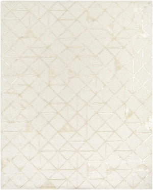 Jevau Beige Geometric Hand Tufted Wool Area Rug - Clearance