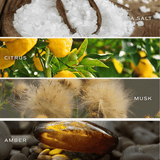 Salt and Sea Soy Candle - Clear Jar - 9 oz