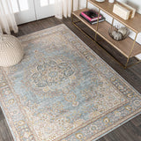 Goa-Floral-Medallion-Traditional-Area-Rug-Area-Rugs
