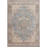 Goa Floral Medallion Traditional Area Rug
