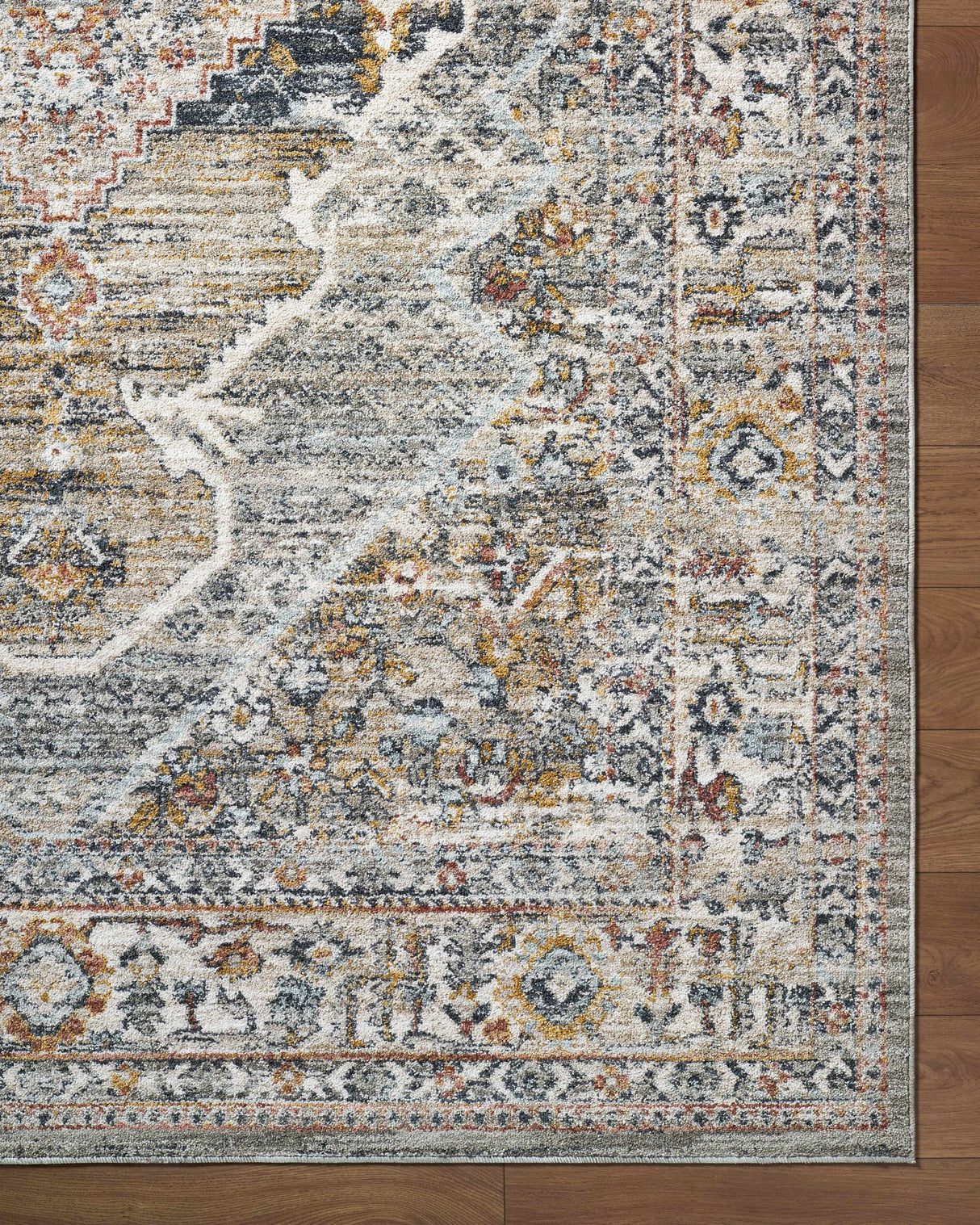 Jyler Traditional Area Rug