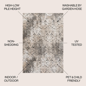 Duenas High-Low Shabby Indoor/Outdoor Area Rug