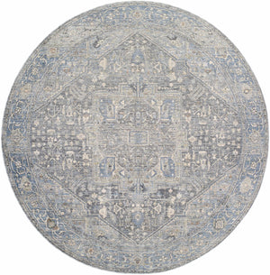 Alina Area Rug - Clearance