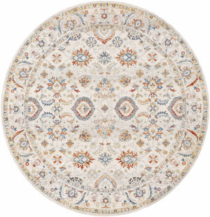 Araya Area Rug - Clearance