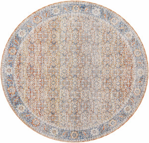 Dalit Area Rug - Clearance