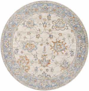Luma Area Rug - Clearance