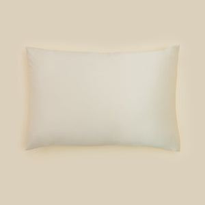Mulberry Silk Pillowcase