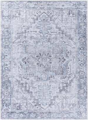 Nadia Silver Gray Area Rug - Clearance