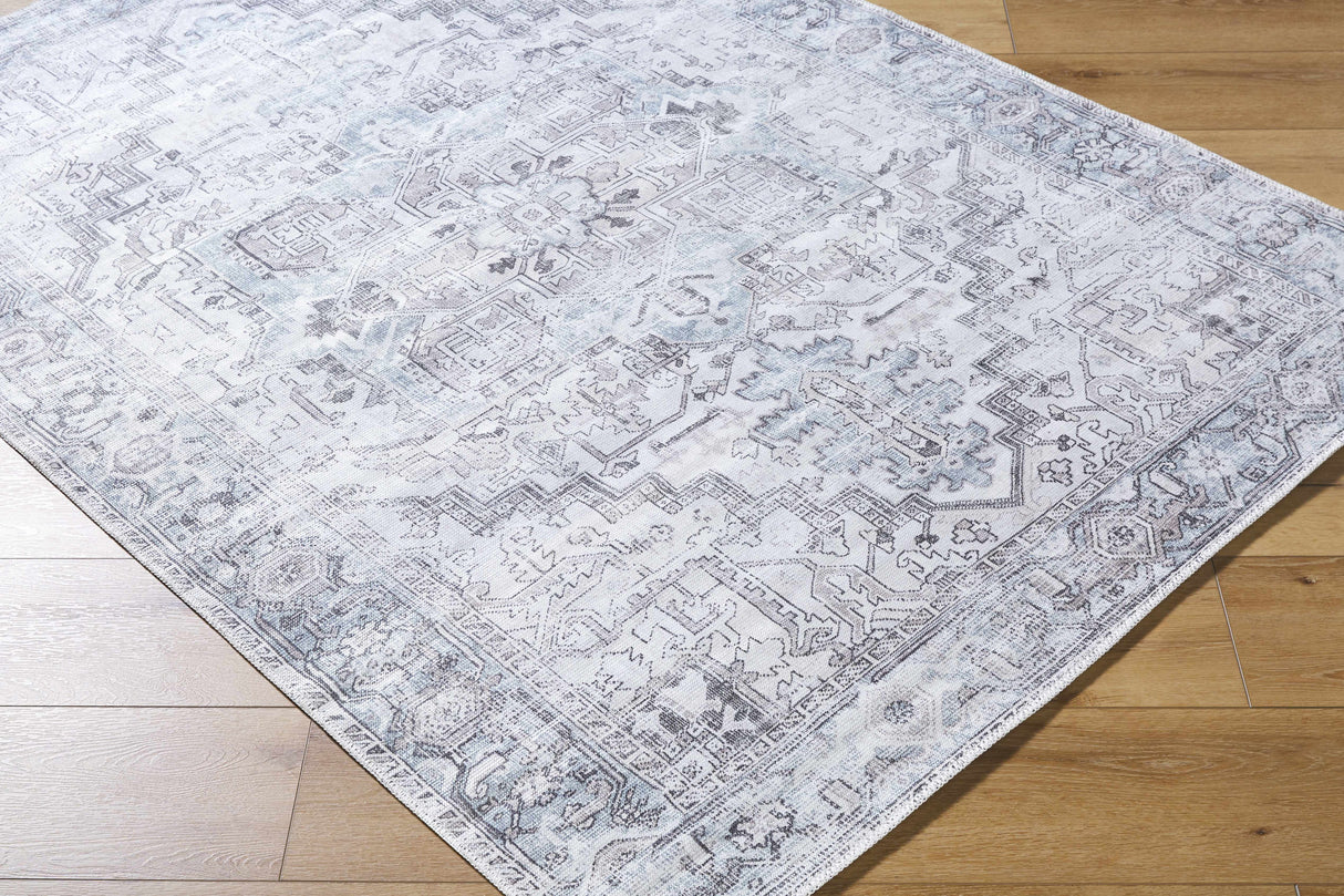 Nadia Silver Gray Area Rug - Clearance