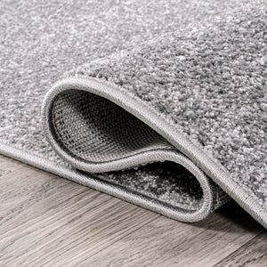 Haze Solid Sleek Low-Pile Oval Area Rug