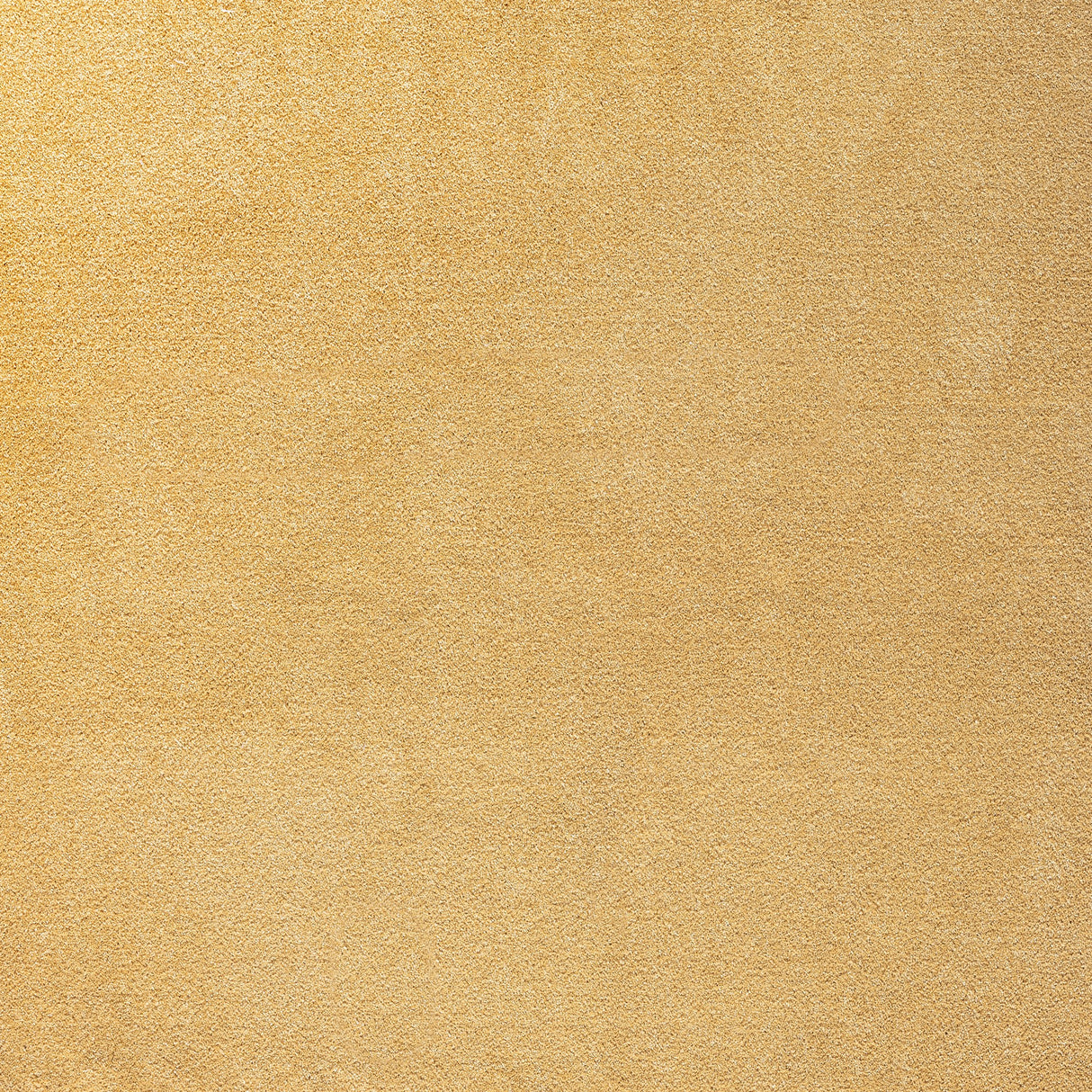 Haze Solid Sleek Low-Pile Square Area Rug