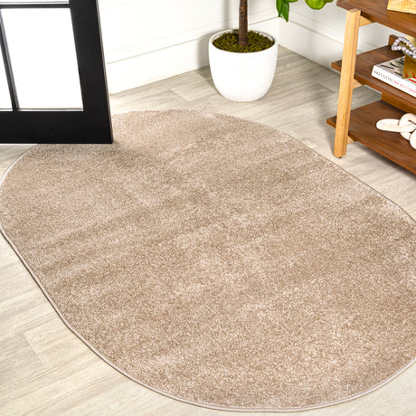 Haze Solid Sleek Low-Pile Oval Area Rug