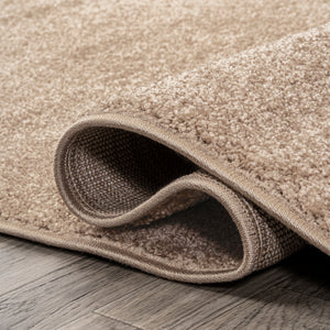 Haze Solid Sleek Low-Pile Oval Area Rug